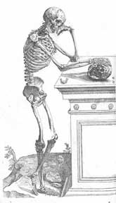 anatomyreview1
