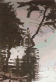 gx_arttreespond