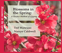 Blossoms in the Sprng